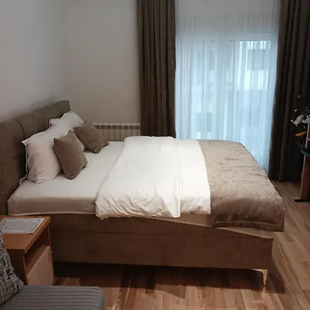 Dora Ss Stari Banovci