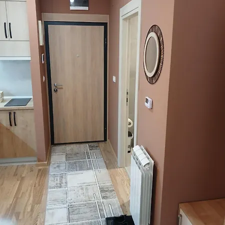 Dora Ss Stari Banovci