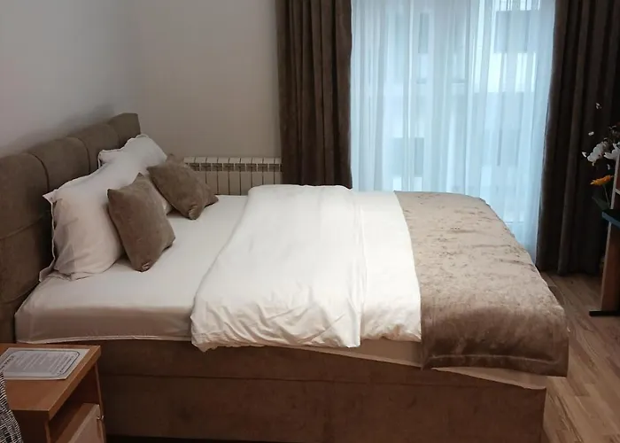 Dora Ss Stari Banovci