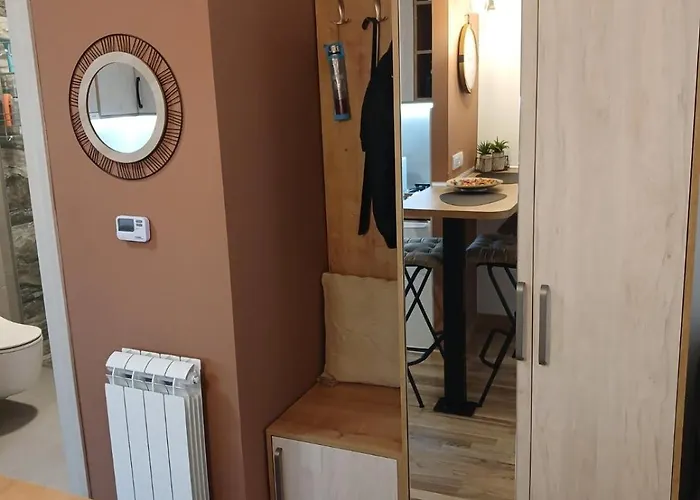 Apartment Dora Ss Stari Banovci