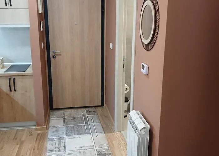 Dora Ss Stari Banovci