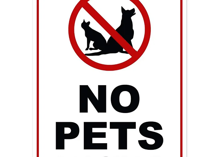 Dora Ss * Stari Banovci